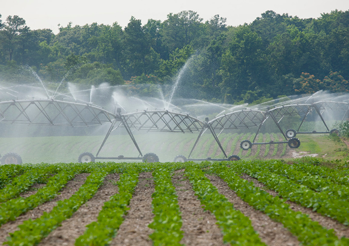 Irrigation