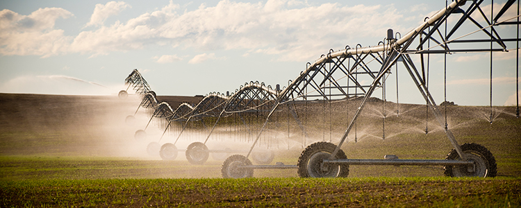 Montana Irrigation