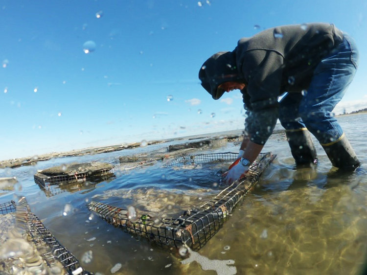 Man with shellfish