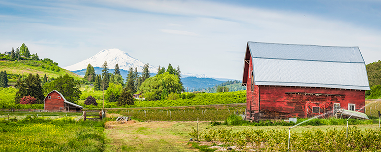 Washington State Farm