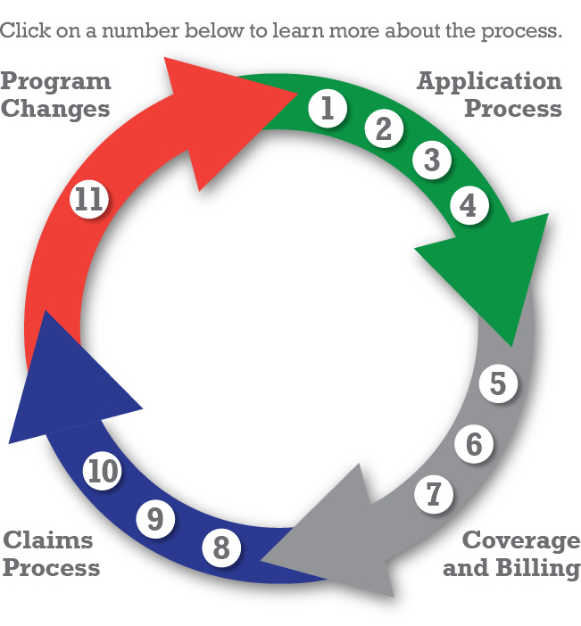The Insurance Process