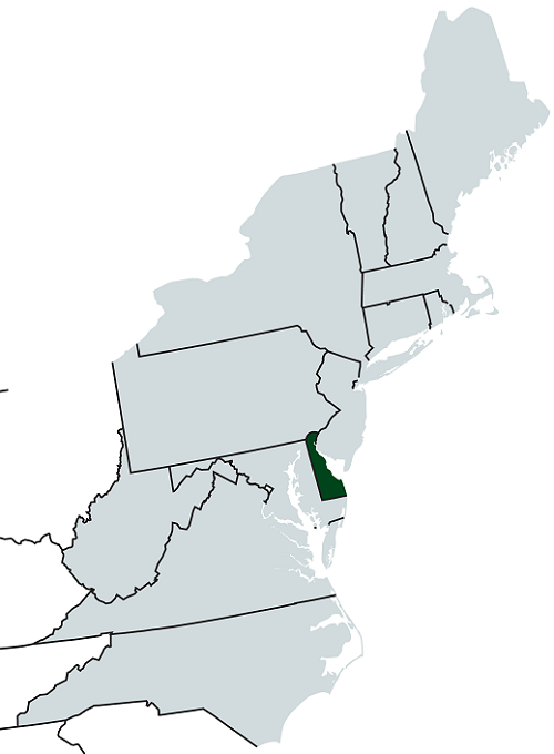 Delaware