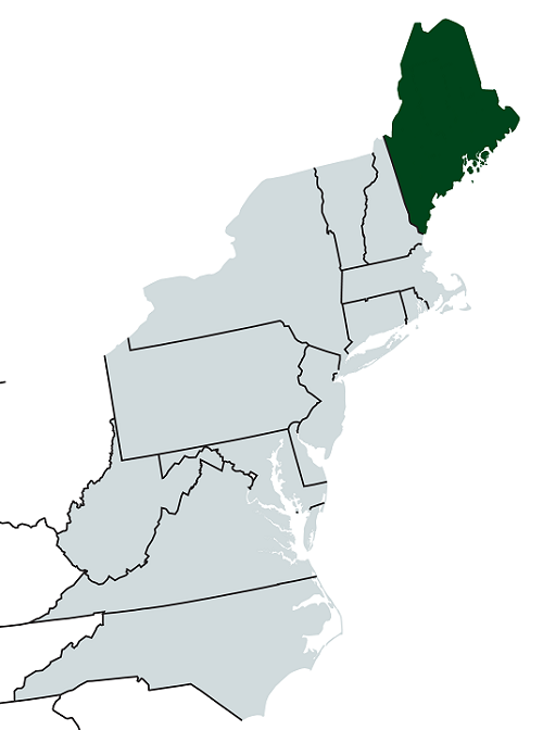 Maine