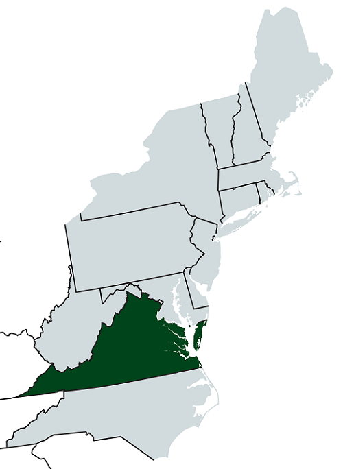Virginia