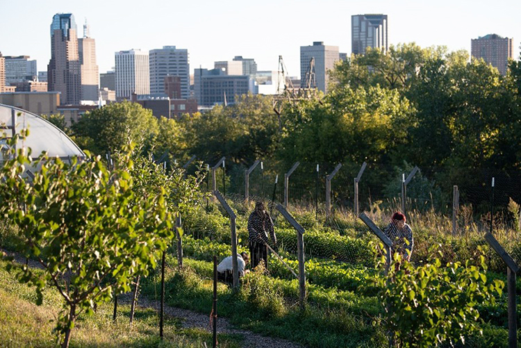 Three people in an urban garden.