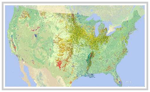 The United States of America